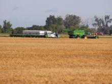 cereal harvest
