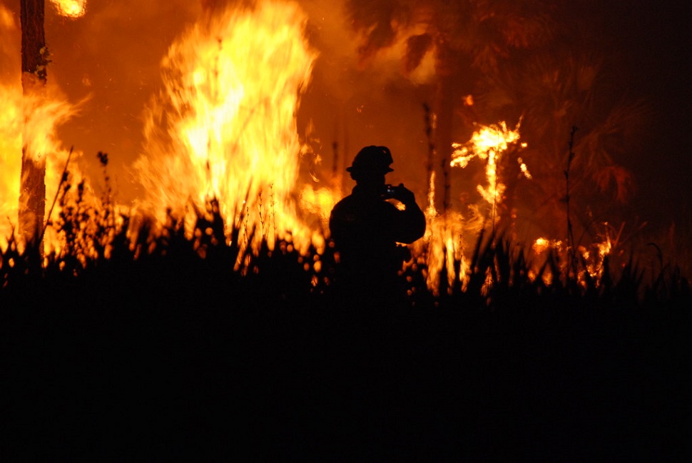 Firefighter battles wall of flames.