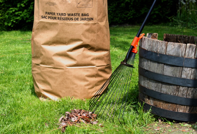 A brown paper bag in the grass.