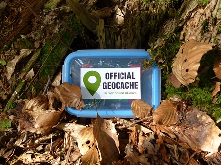 a plastic container that's in amongst leaves which reads 'Official Geocache'
