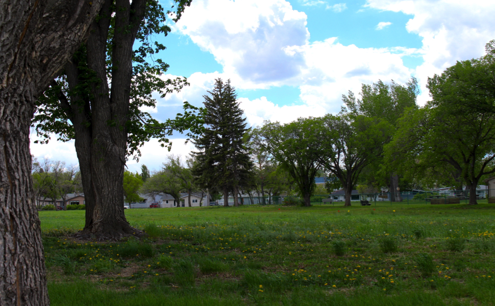 A large open field. 
