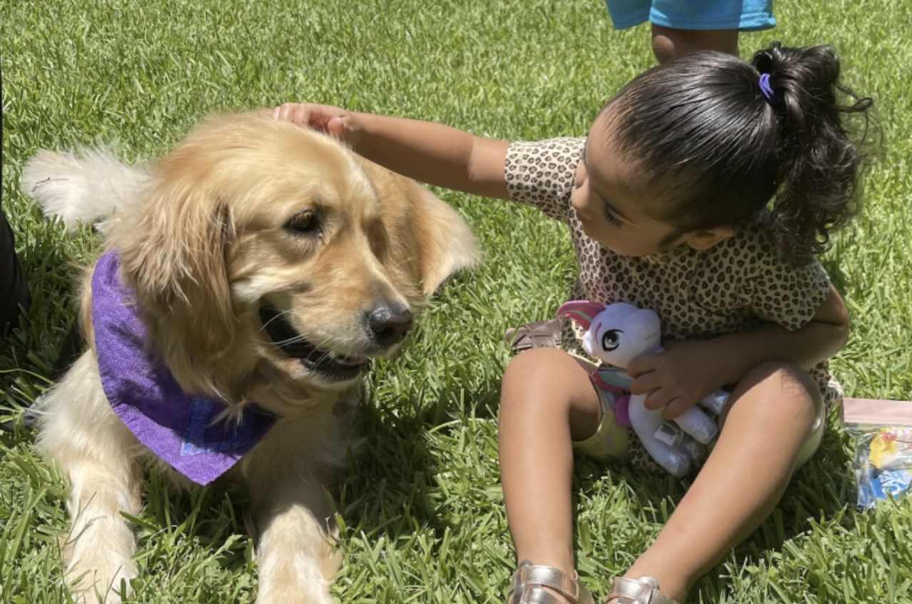 Photo from Lutheran Church Charities of a girl with a golden retriever comfort dog. 
