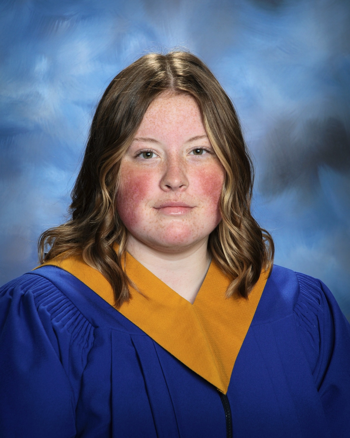 Briercrest Christian Academy portals