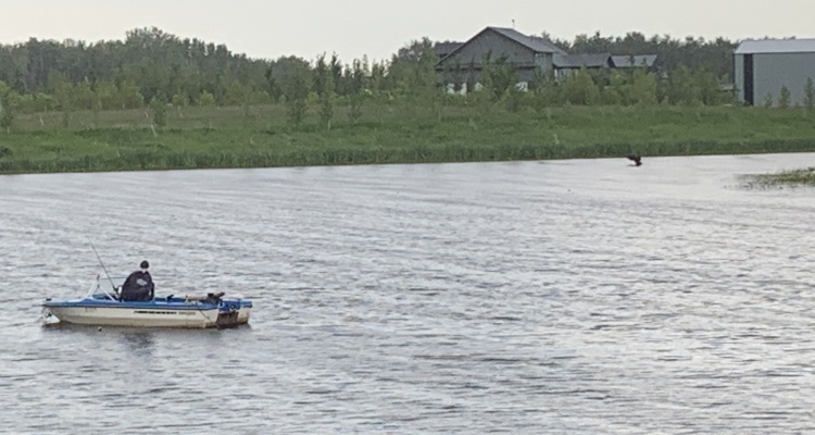 Old man slough