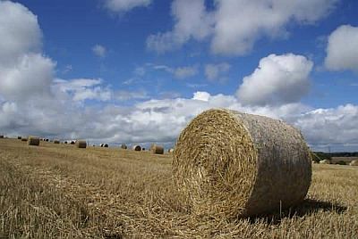 round hay bale sitting in a field