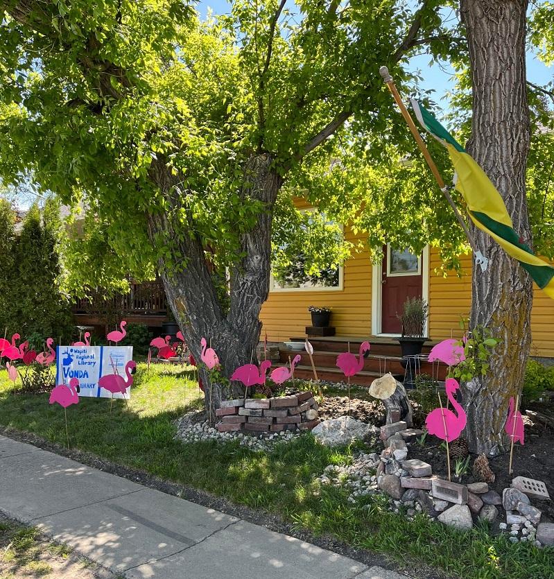 Vonda flamingoes