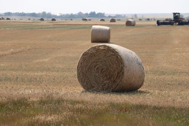 Hay Bale
