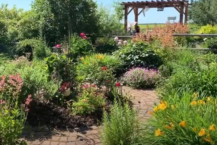 Show and Sale at Garden