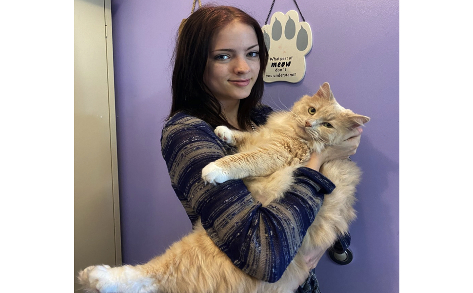 young woman holding large orange cat