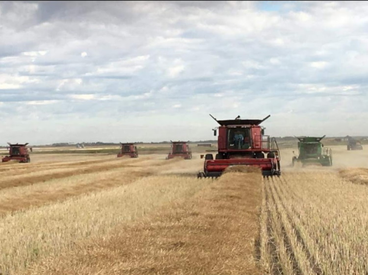 tractors in a field