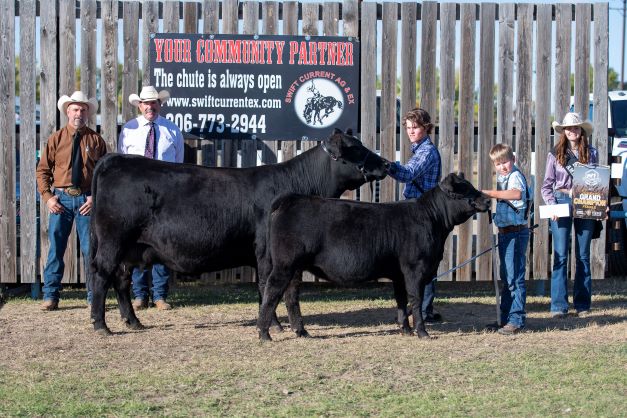 Black Angus cow and calf winners in the Grand Champion Female division