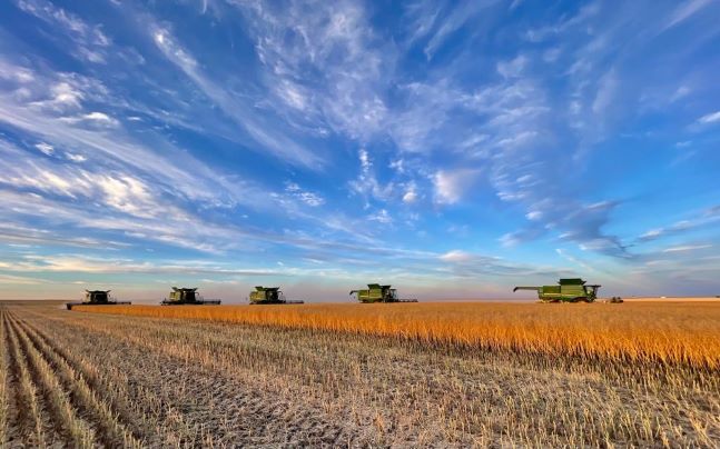 Five John Deere combines working in the same field during harvest