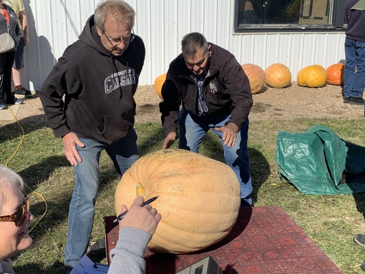 pilger pumpkin 2022