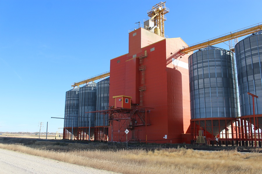 Wooden Giant still standing South of Kindersley.