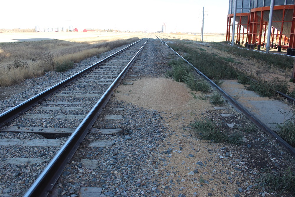 These rails will take our crops to the coast.