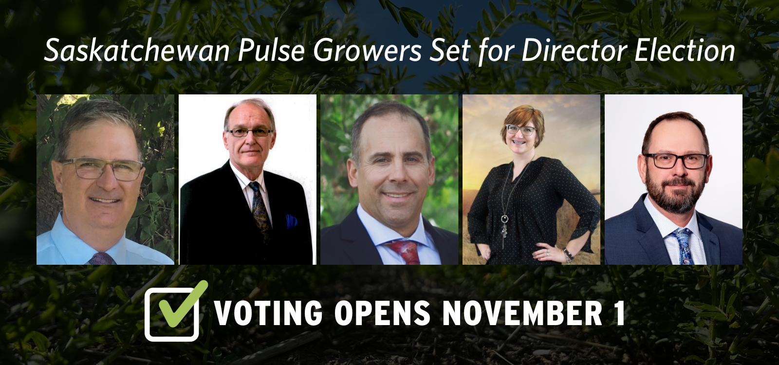 Photo of candidates running in the Saskatchewan Pulse Growers election