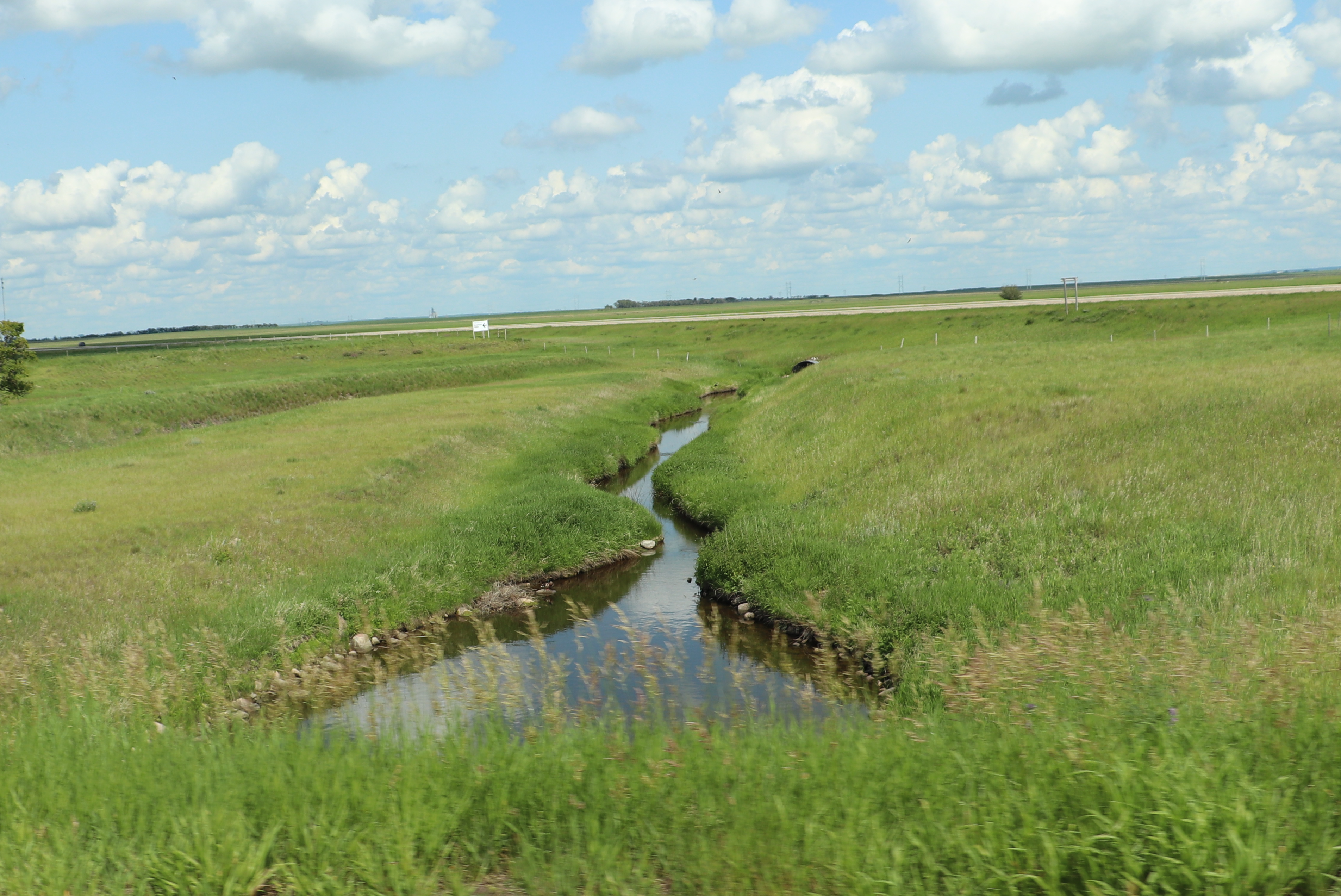 shows a healthy riparian area around a creek