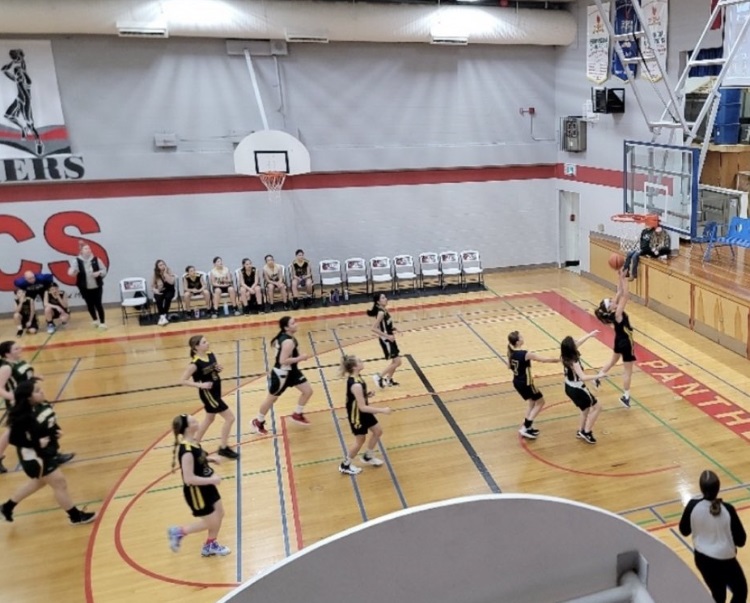 girls basketball