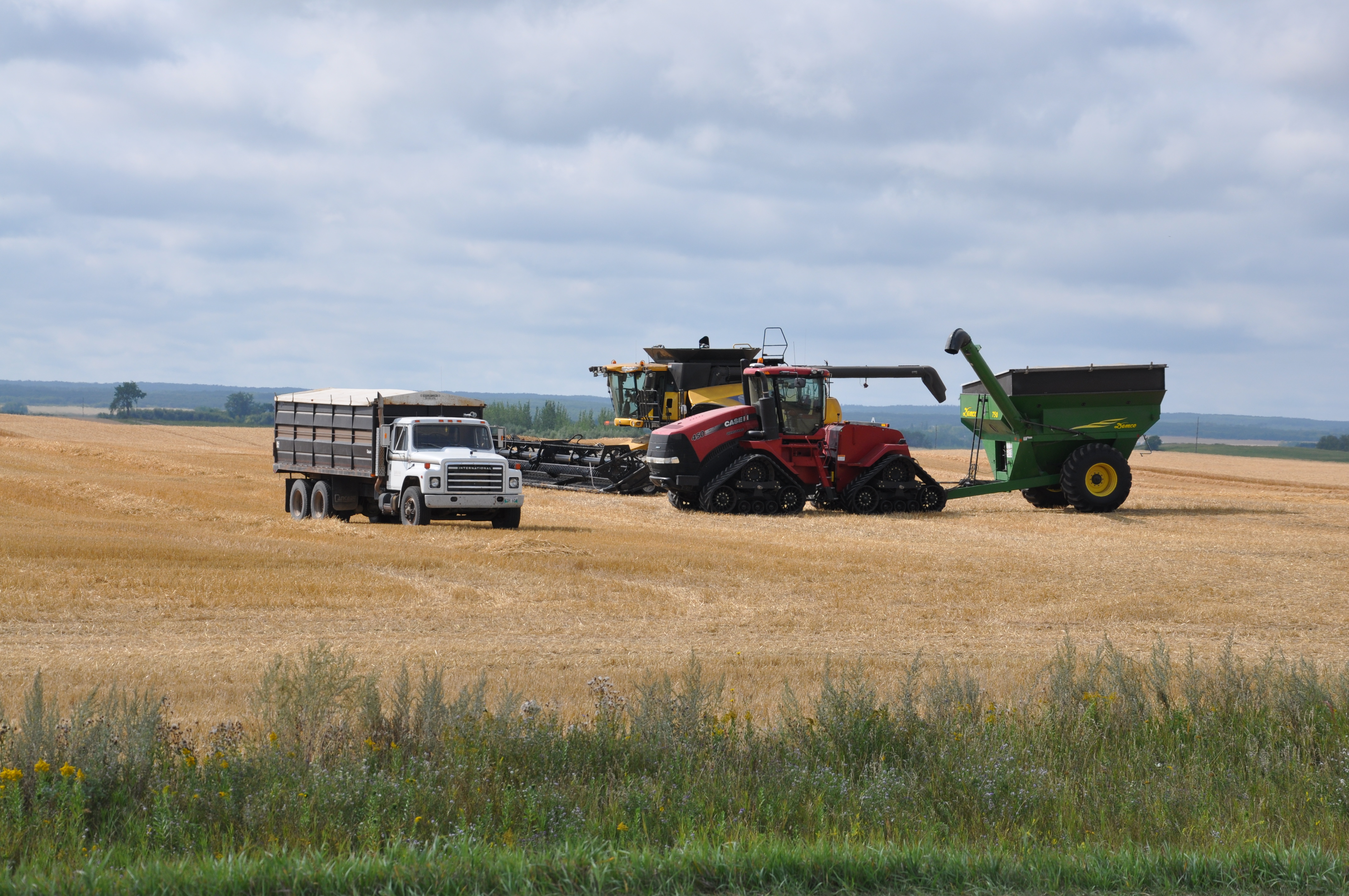 a harvest crew with machinery combining a wheat field