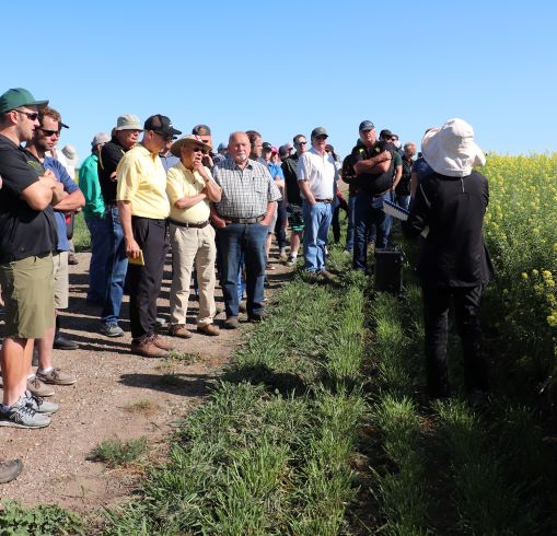 crowd shot of people attending Wheatland Conservation field day