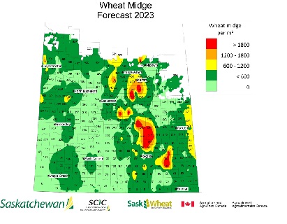 Wheat midge map for Saskatchewan