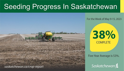 Seeding progress in Saskatchewan 38 per cent complete