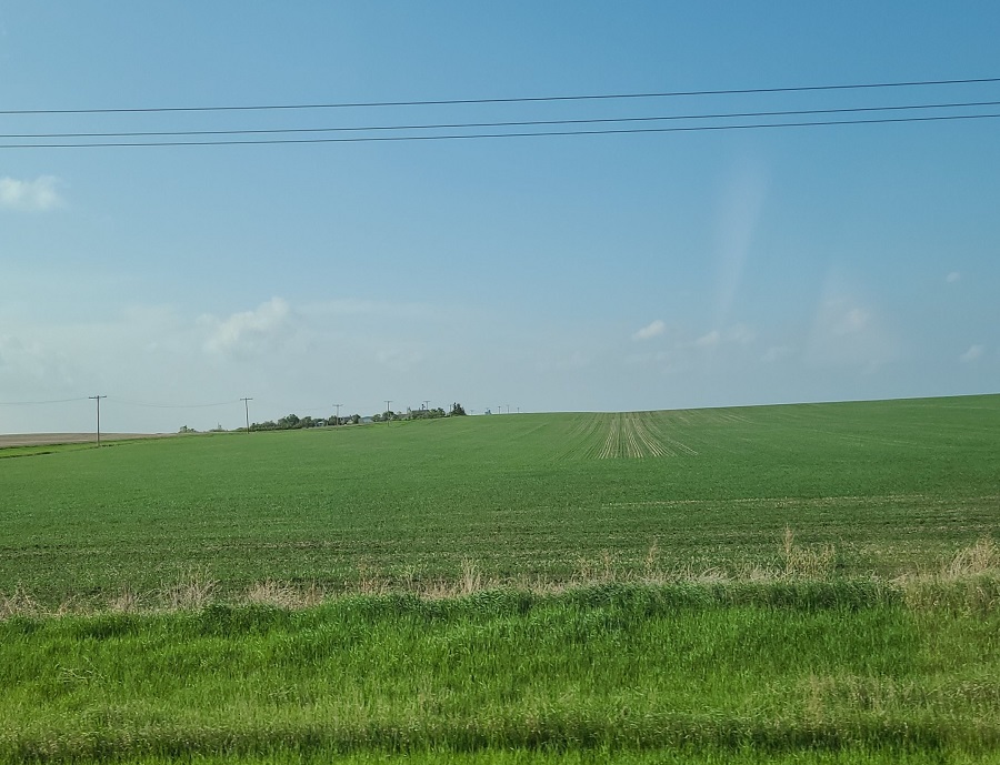 Crops Plato and Eston.jpg