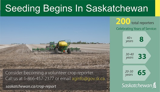 Seeding equipment in the field