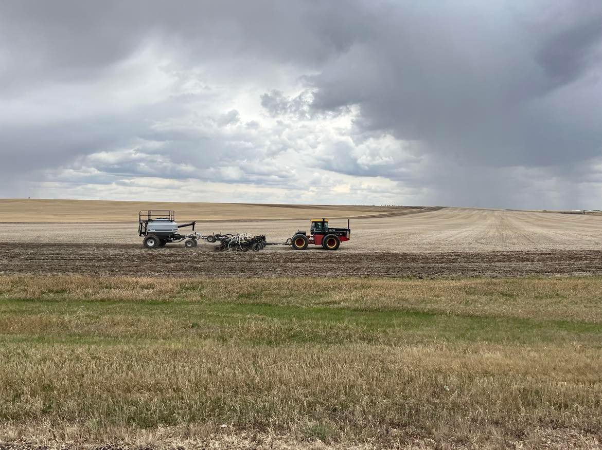 Seeding 2023.jpg