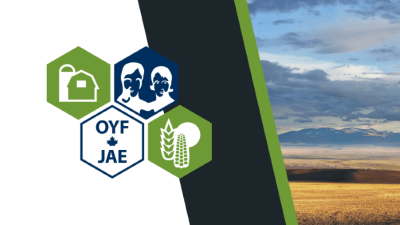 OYF logo  on top of wheat field