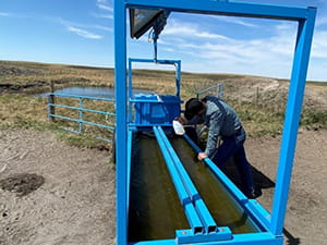 blue livestock trough