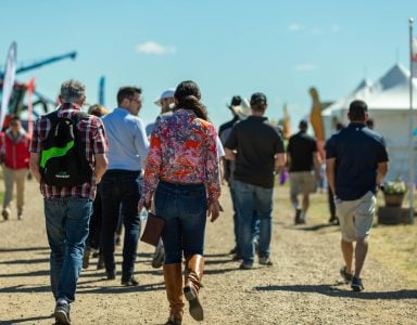 People wandering through the site