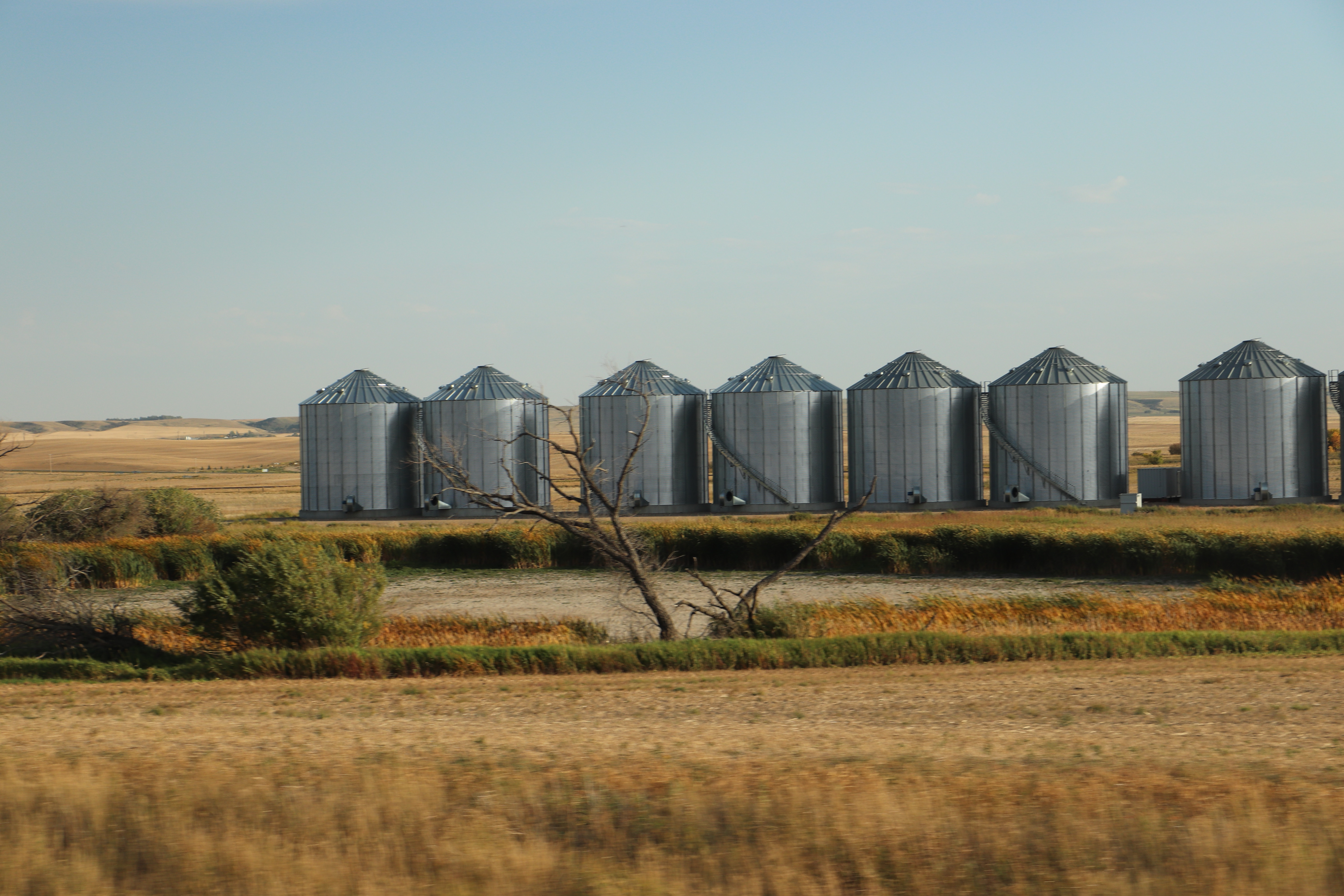Grain bins lined up in a field