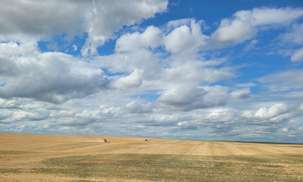 Harvest 2023.