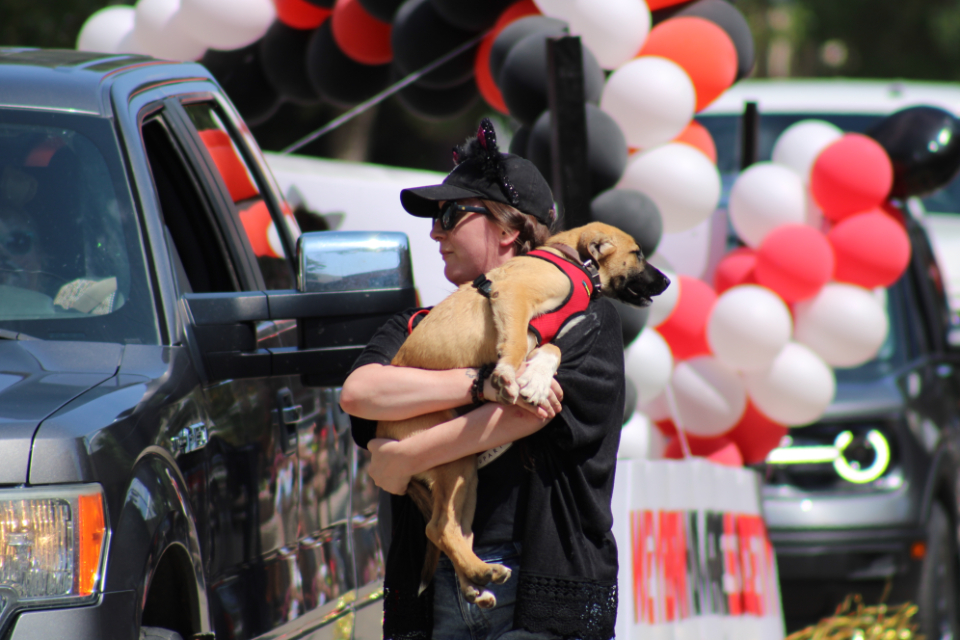 Weyburn parade showcases creative floats and heartwarming puppies portals
