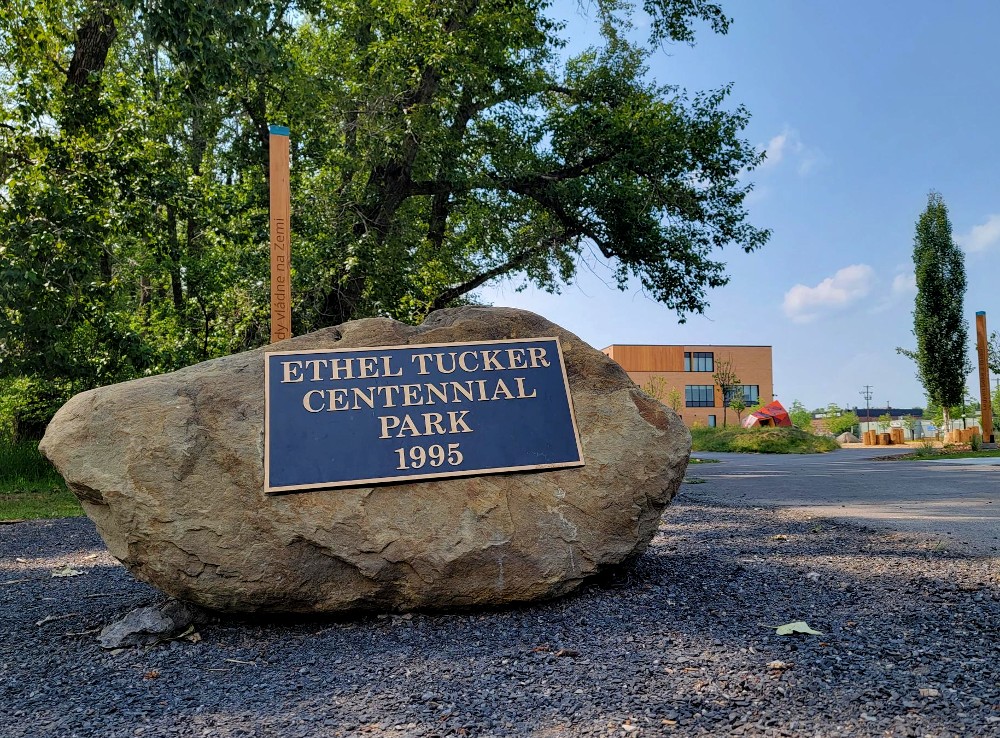 ethel tucker park rock july 2023