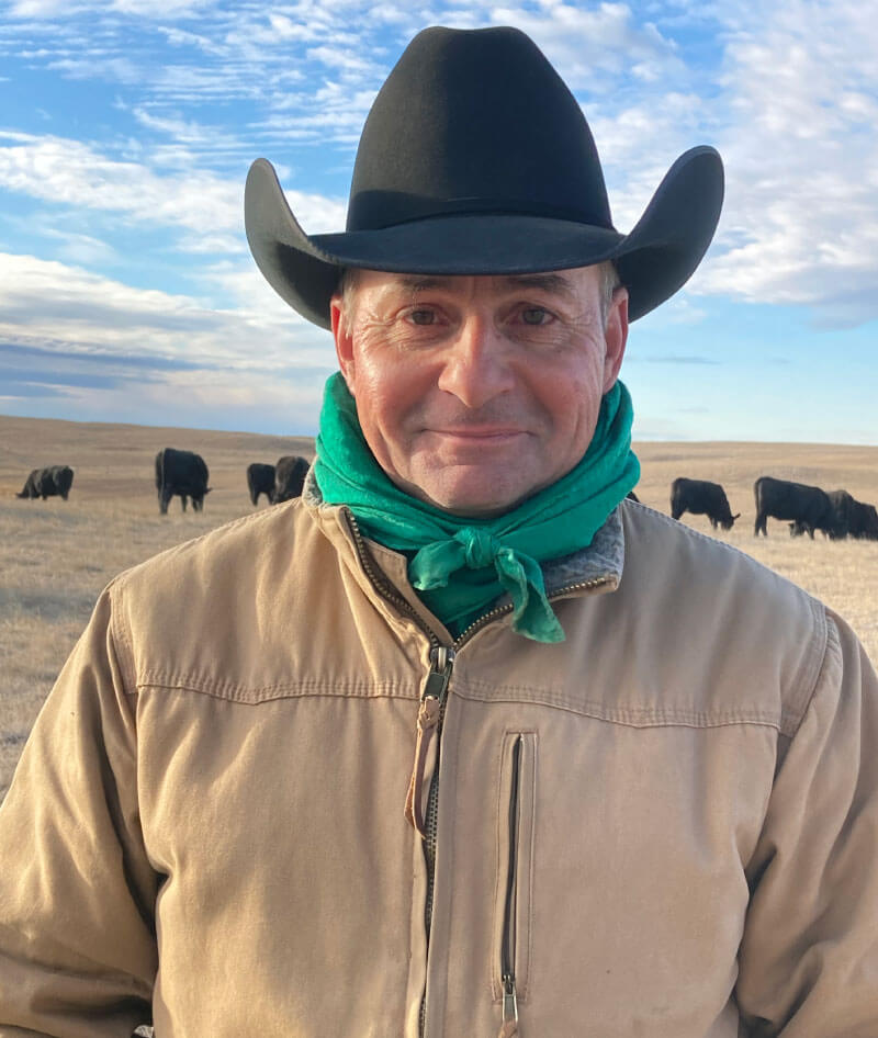 Reg Schellenberg standing in front of his cattle herd