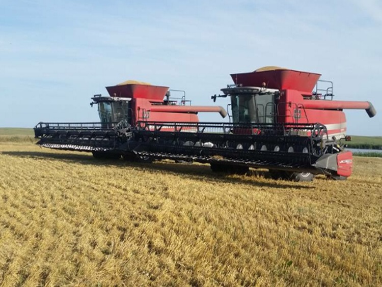 two red case combines sitting in a harvested field