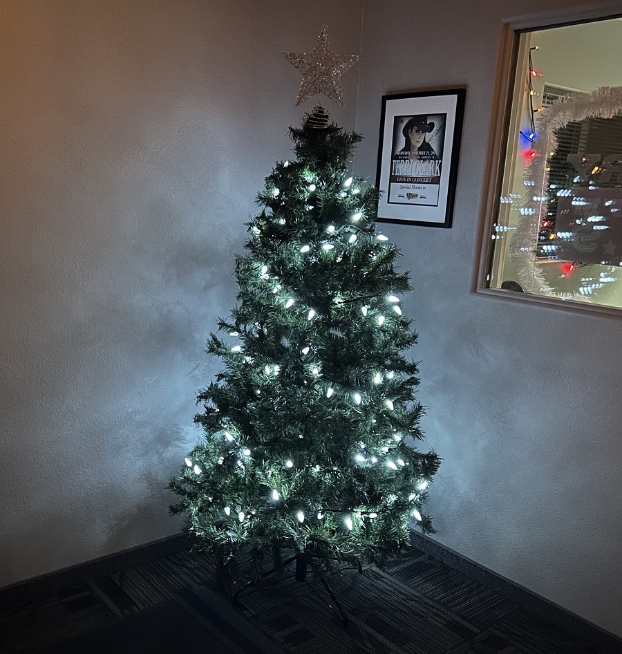 POLL Is your Christmas tree up? portals