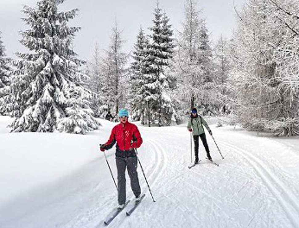 2 trails to explore this winter at Birds Hill Park portals