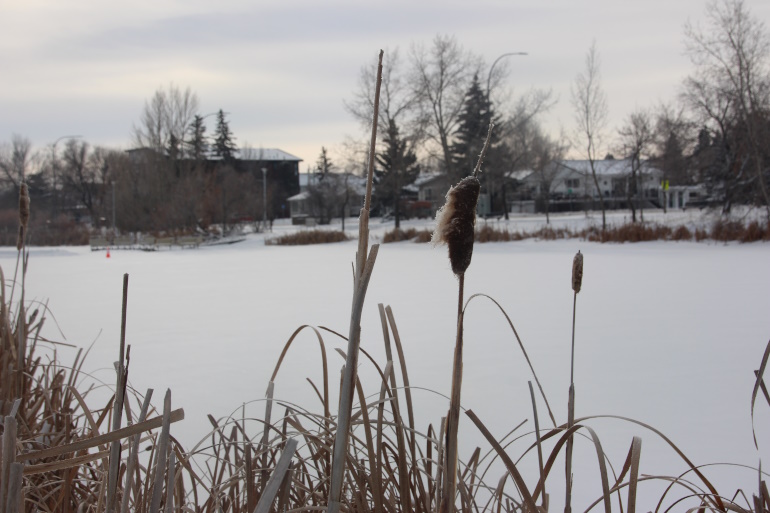 Winter Weather