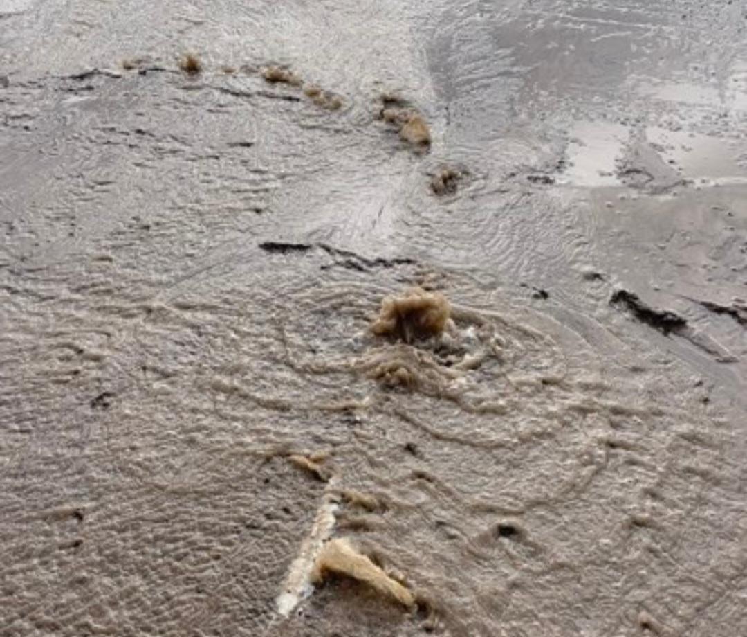 The water bubbling up through the pavement when the watermain broke. (submitted image)