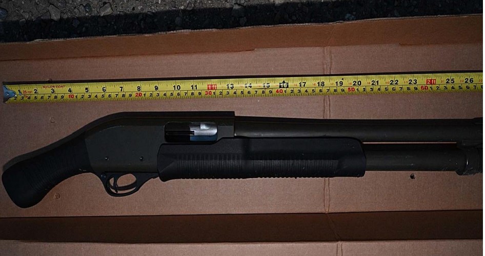 Firearm pointed at officers.