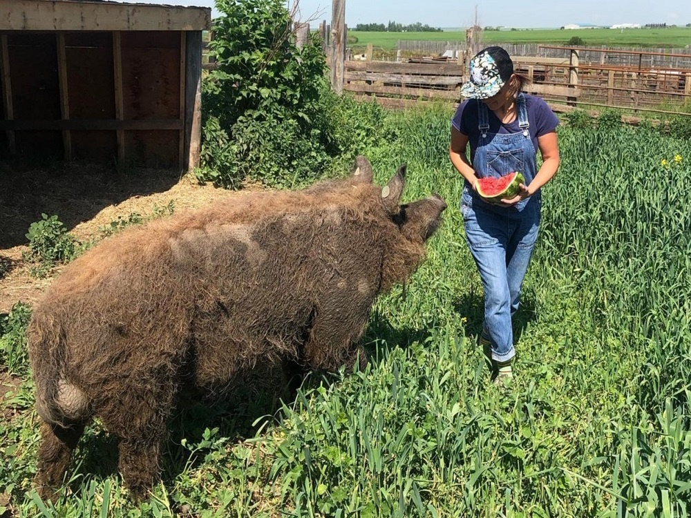 Nominations for the Women in Agriculture Award will close on December 31.