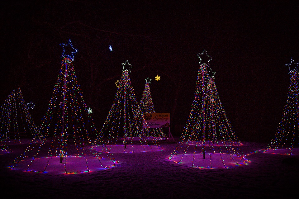 Festival of Lights