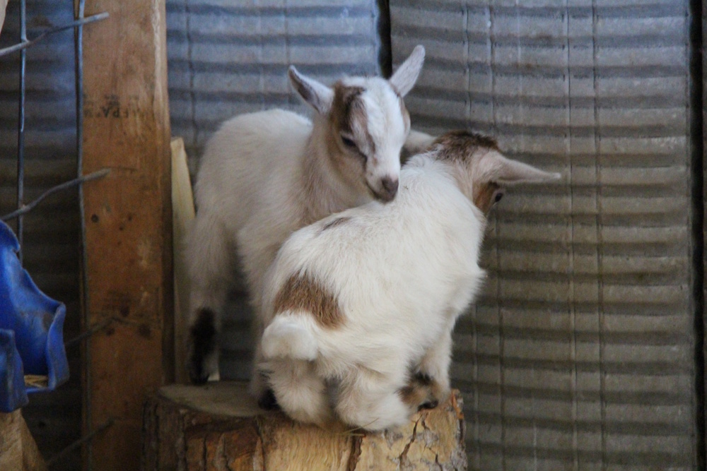 Nominations for the Master Farm Family Award are now open.