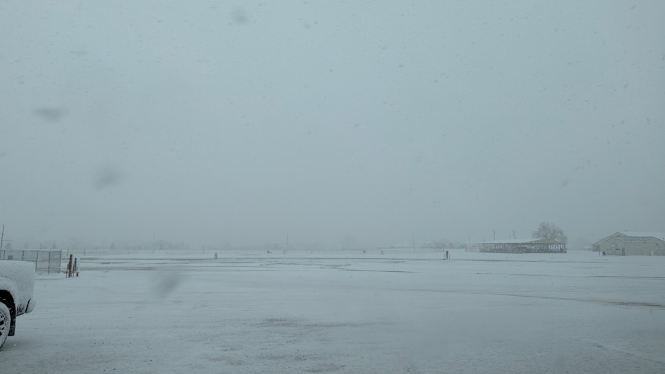 Snow storm 