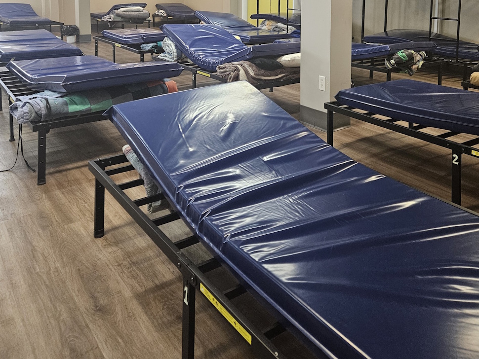 red deer mustard seed shelter beds