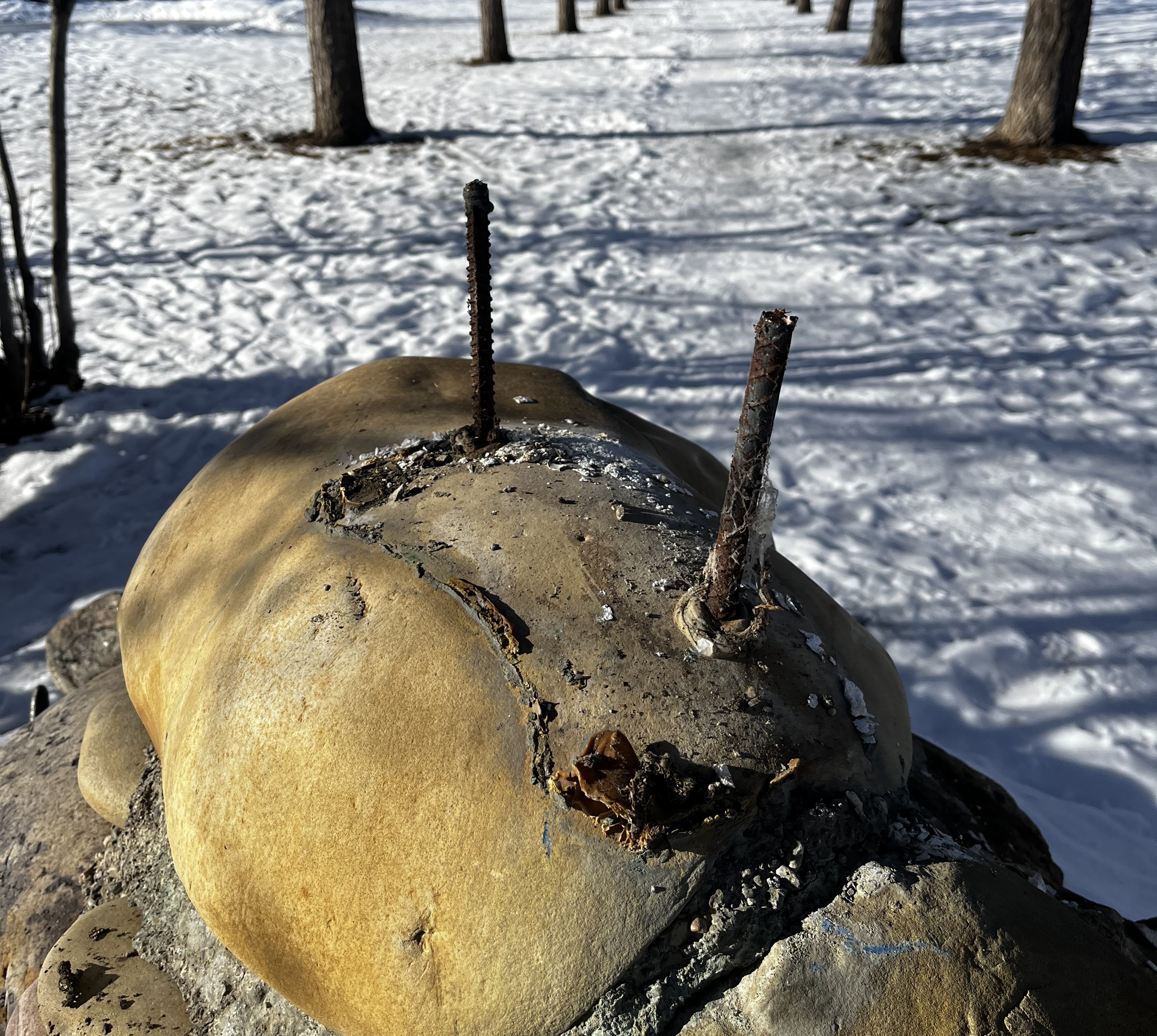 Two pieces of exposed rebar were left where the skull was taken. Sheila Hughes
