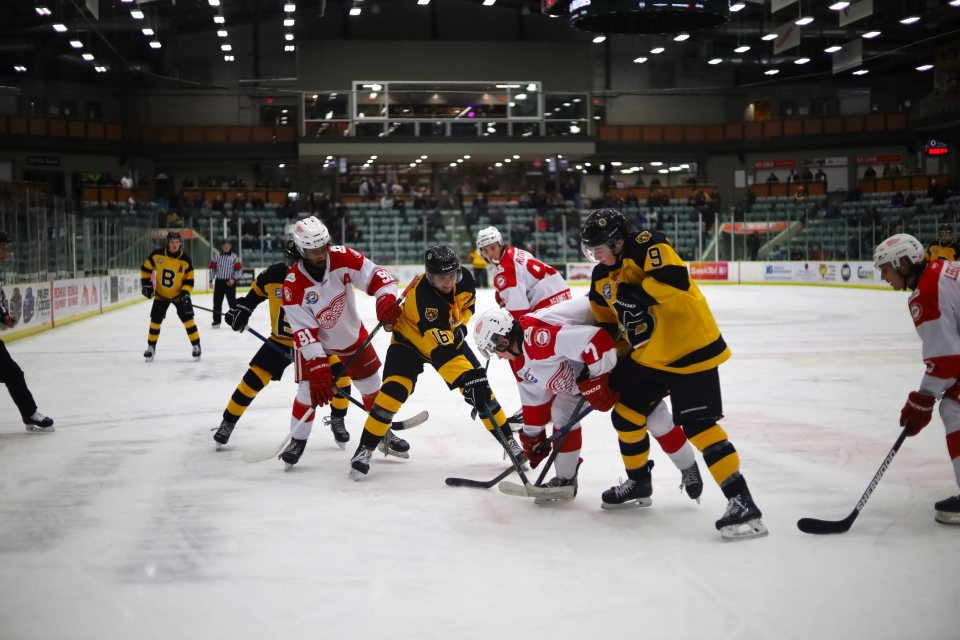 Bruins Weyburn Generic - Lemuel Alquino